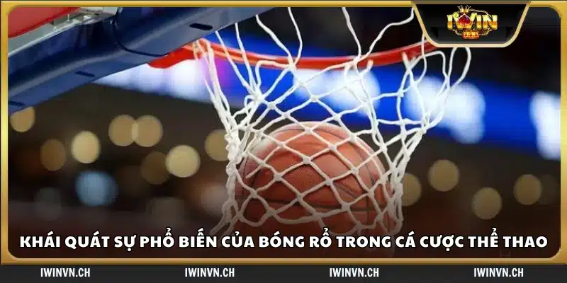 Mức độ phổ biến của cá cược bóng rổ trên thị trường