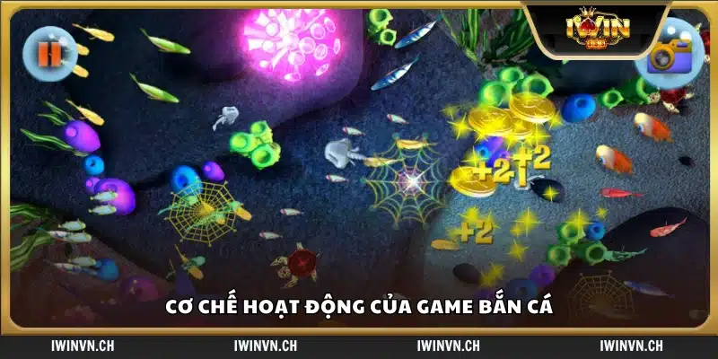 Cách thức hoạt động và tính điểm trong game